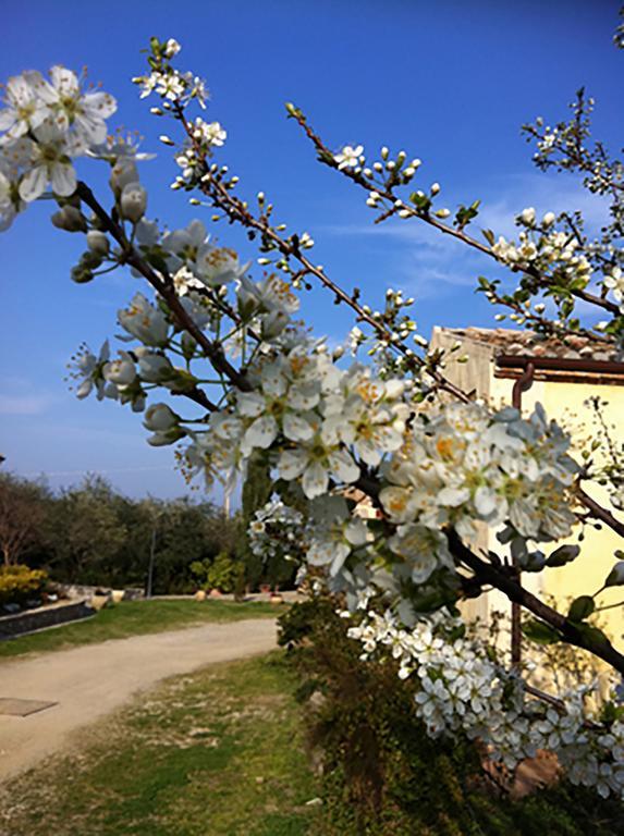 Agriturismo Frangivento Casa Giosafat 외부 사진